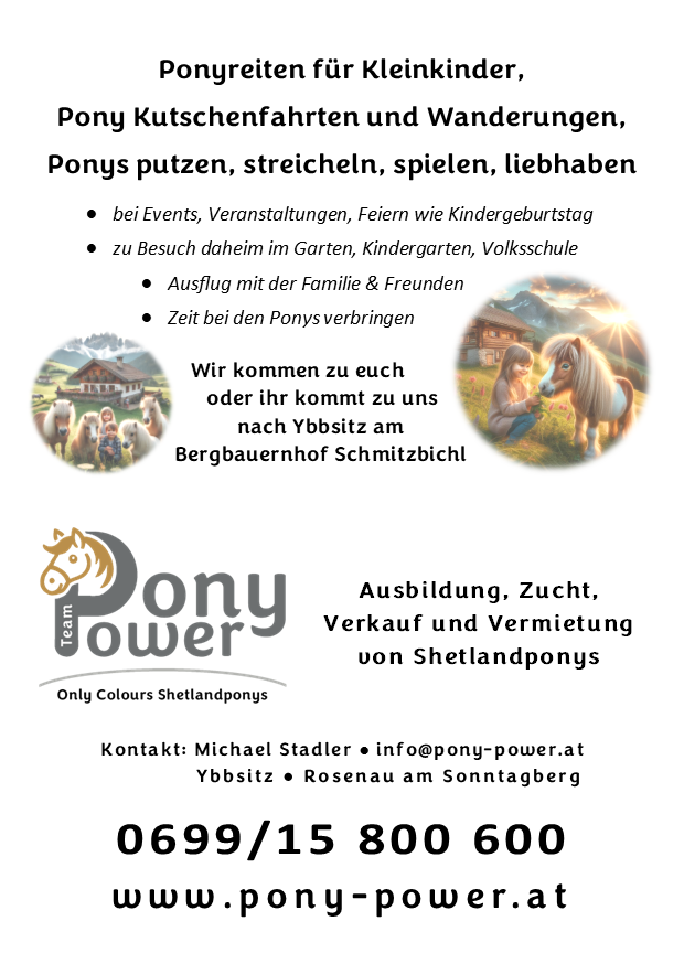 Flyer PonyPowerV6 A6Hochformat
